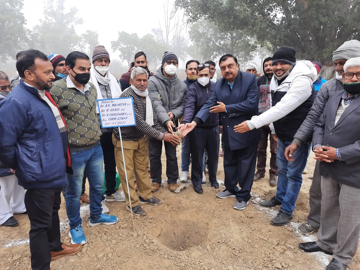  Celebrating new year day and plantation on dated 01.01.2021